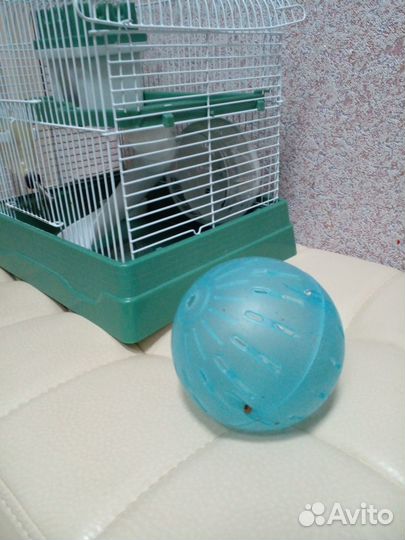 Клетка для джунгарского хомяка