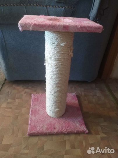 Когтеточка