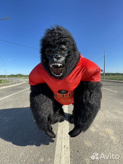 Поздравление