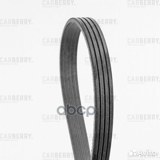 Ремень поликлиновой 4PK668 carberry