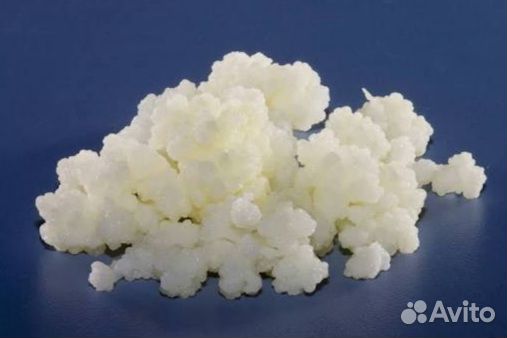 Тибетский молочный кефирный гриб