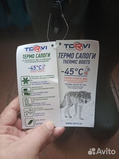 Сапоги torvi