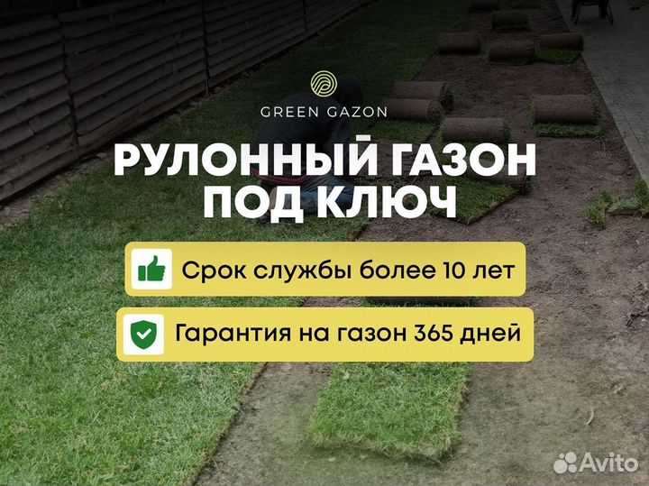 Газон спорт