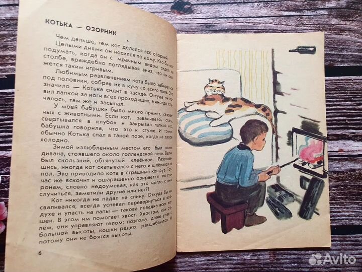 Рябинин. Дружище Котька. 1972 г