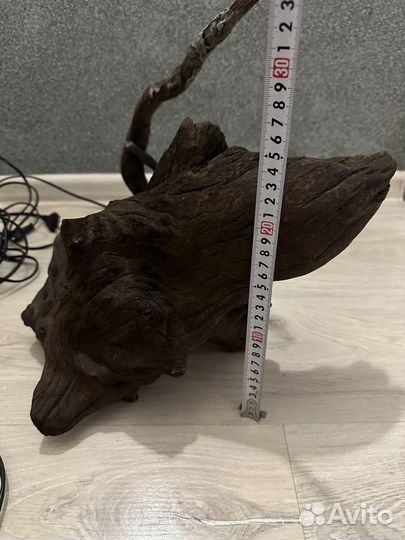 Коряга манговая,фильтра и ракушки