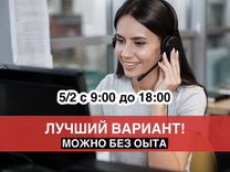 Оператор call центра удаленно (тёплая база)