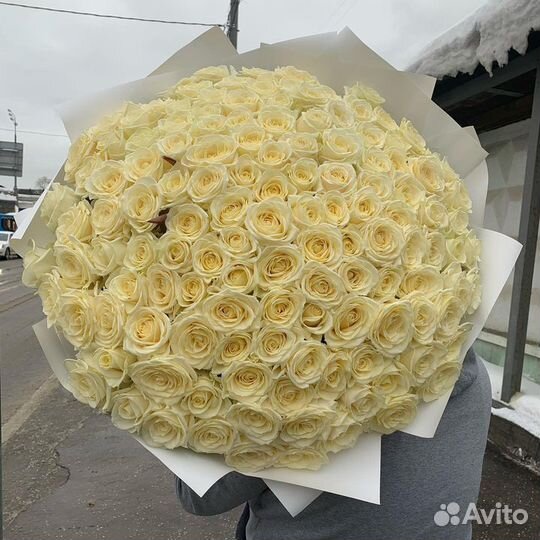 Белые розы / 101 51 белый роза/цветы с доставкой