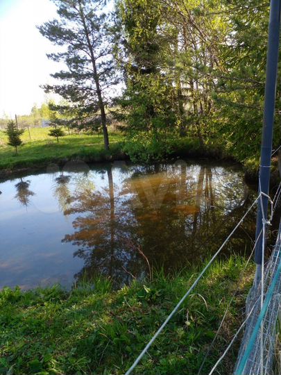 Дом 100 м² на участке 20 сот.