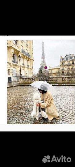 Новый качественный зонт свадебный/ повседневный