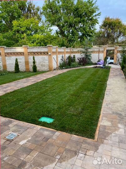 Рулонный газон, укладка под ключ, продажа