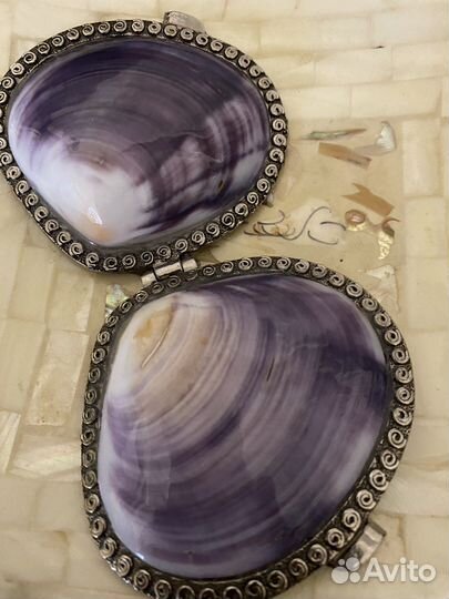 Морские ракушки. Сувенирные