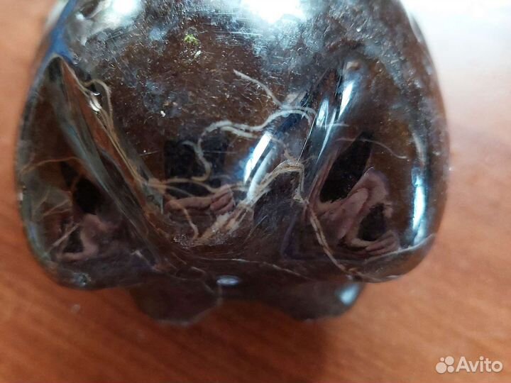 Пеларгония герань