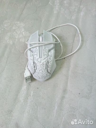 Клавиатура и мышь