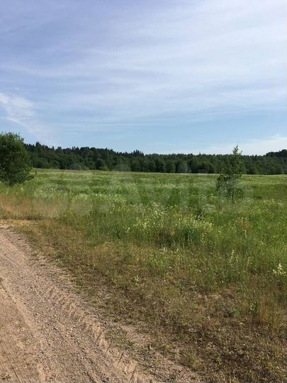 Участок 15 сот. (ИЖС)