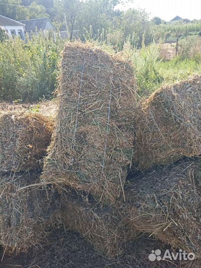 Продам сено люцерны