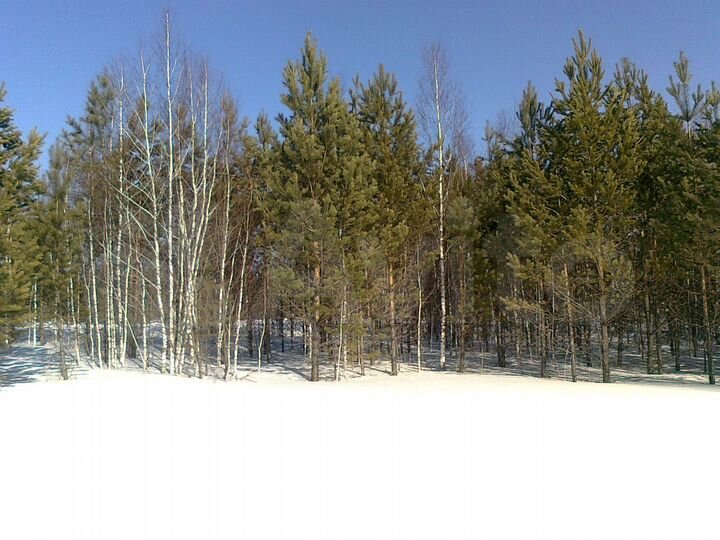 Участок 6 сот. (СНТ, ДНП)