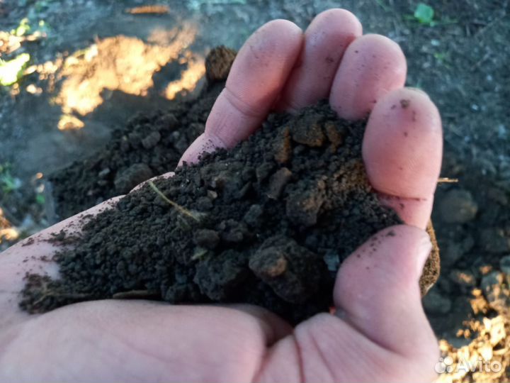 Чернозем,Навоз Коровий,Перегной 2/3г,до 20т