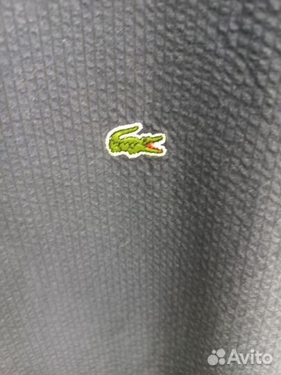 Рубашка мужская Lacoste