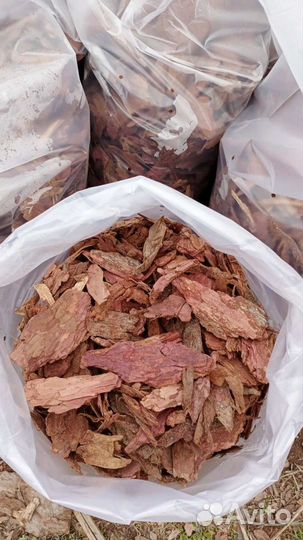 Кора сибирской лиственницы