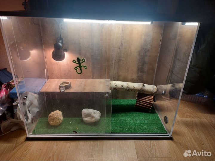 Террариум для рептилий бу