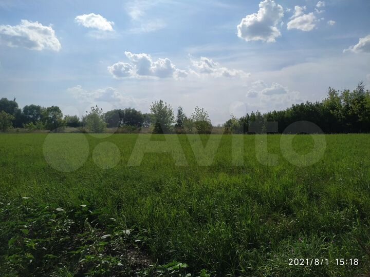 Участок 45 сот. (ИЖС)