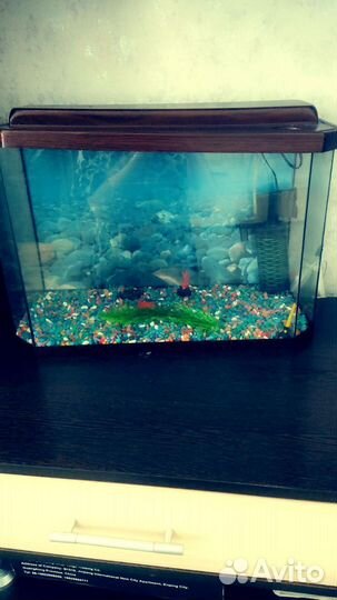 Аквариум