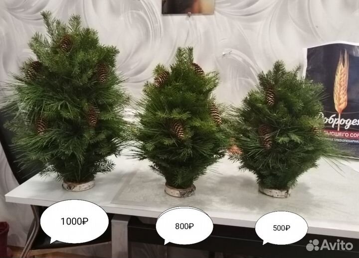 Новогодние композиции