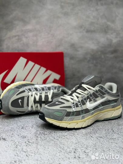 Кроссовки nike p6000