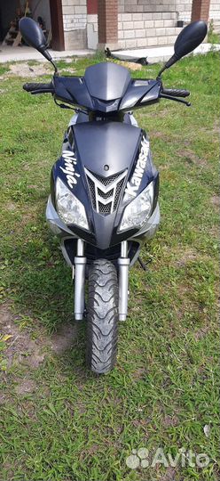 Скутер nexus (150 кубов)