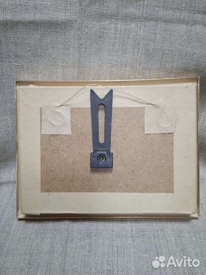 Бабочки в рамках