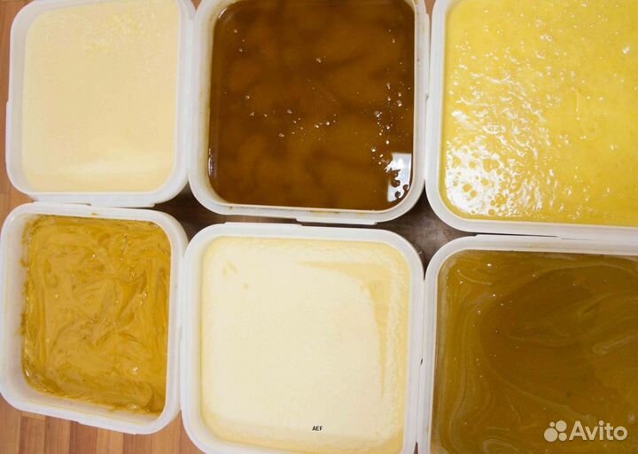 2024 Мёд натуральный алтайский опт