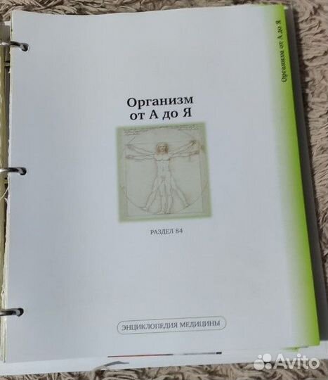 Тело человека. Снаружи и внутри