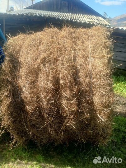 Продам сено в тюках 300 кг