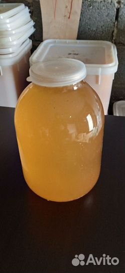 Дешёвый мед в пятницу