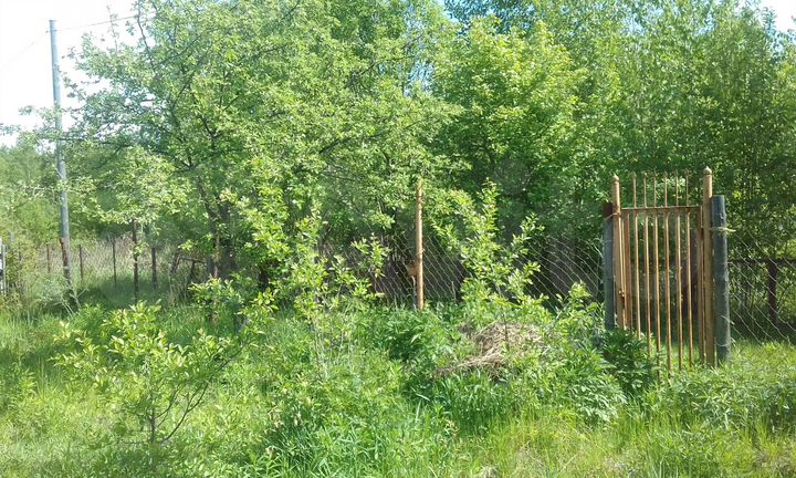 Участок 4 сот. (СНТ, ДНП)