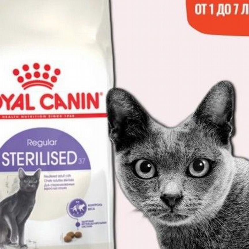 Сухой корм для кошек royal canin sterilised 37