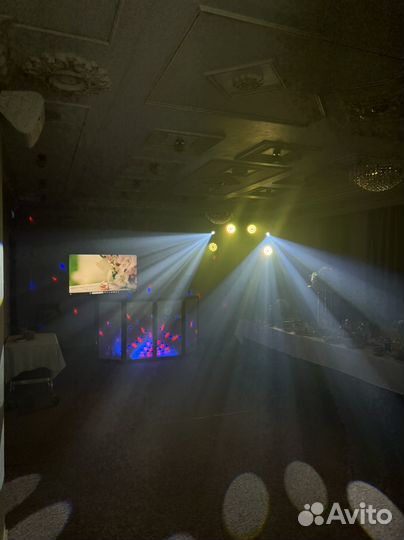 Ведущий и диджей