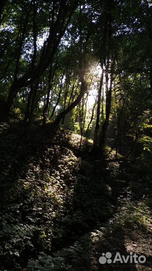 Экскурсии / 