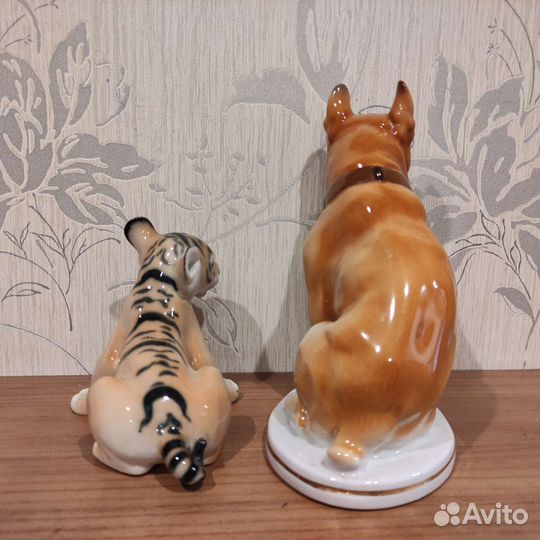 Собака и тигренок