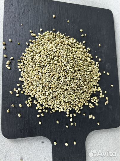 Конопляное семена