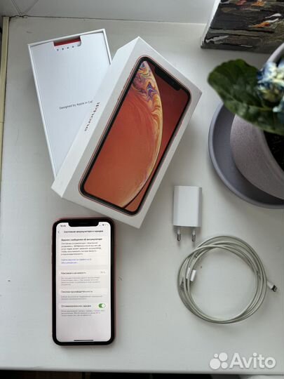 iPhone Xr, 128 ГБ