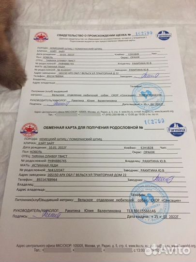 Шпиц. Вязка