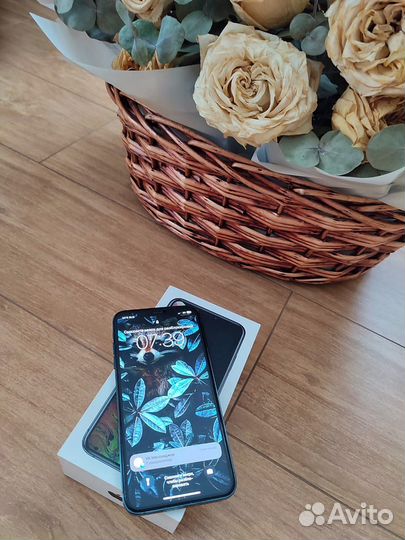 iPhone Xs Max, 512 ГБ