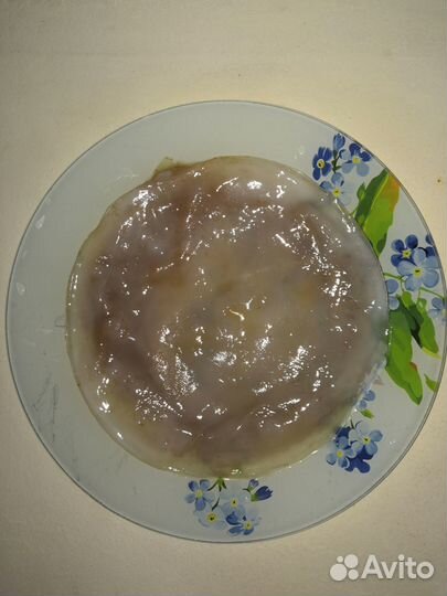 Чайный гриб комбуча