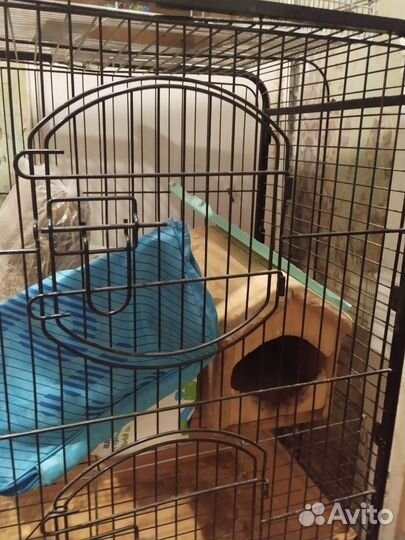 Клетки разные за вкусняшки