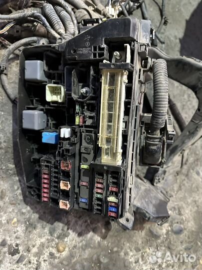 Коса подкапотная Toyota Corolla E150