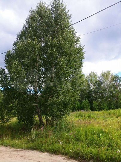 Участок 10 сот. (ИЖС)