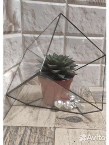 Формы для флорариума