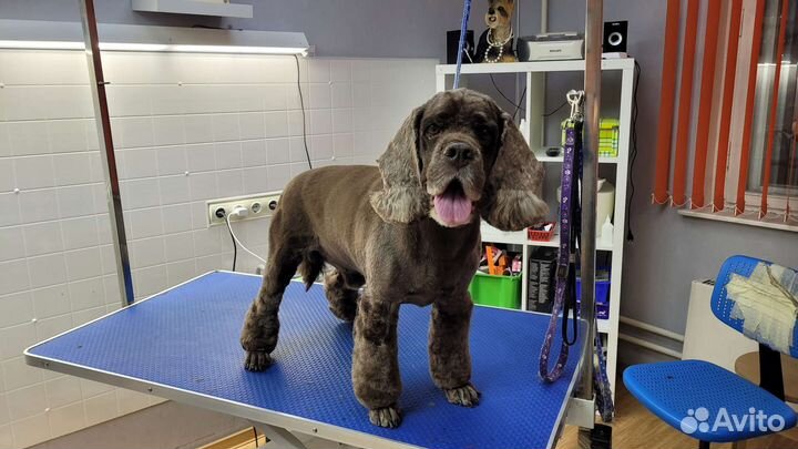 Грумер универсал (стрижка собак)