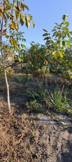 Участок 4,3 сот. (СНТ, ДНП)